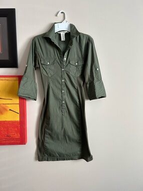 Max Studio Olive Green Shirt Dress